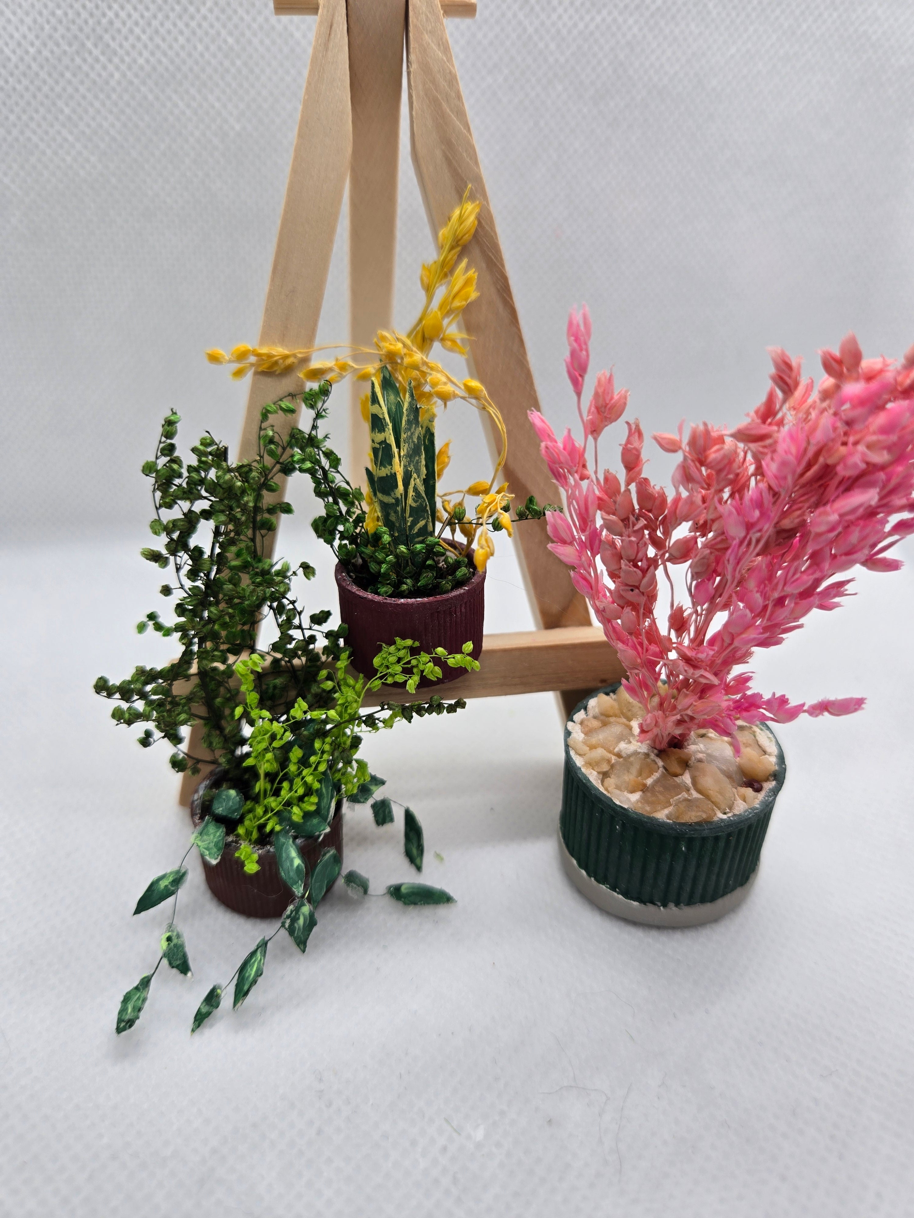 Miniatures