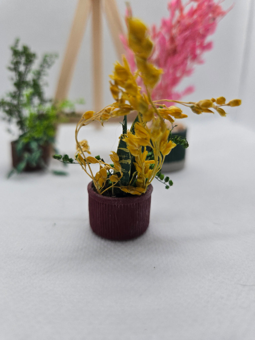 Miniature Snake Plant Potted Houseplant