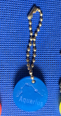 Zodiac Keychain Bright Aquarius
