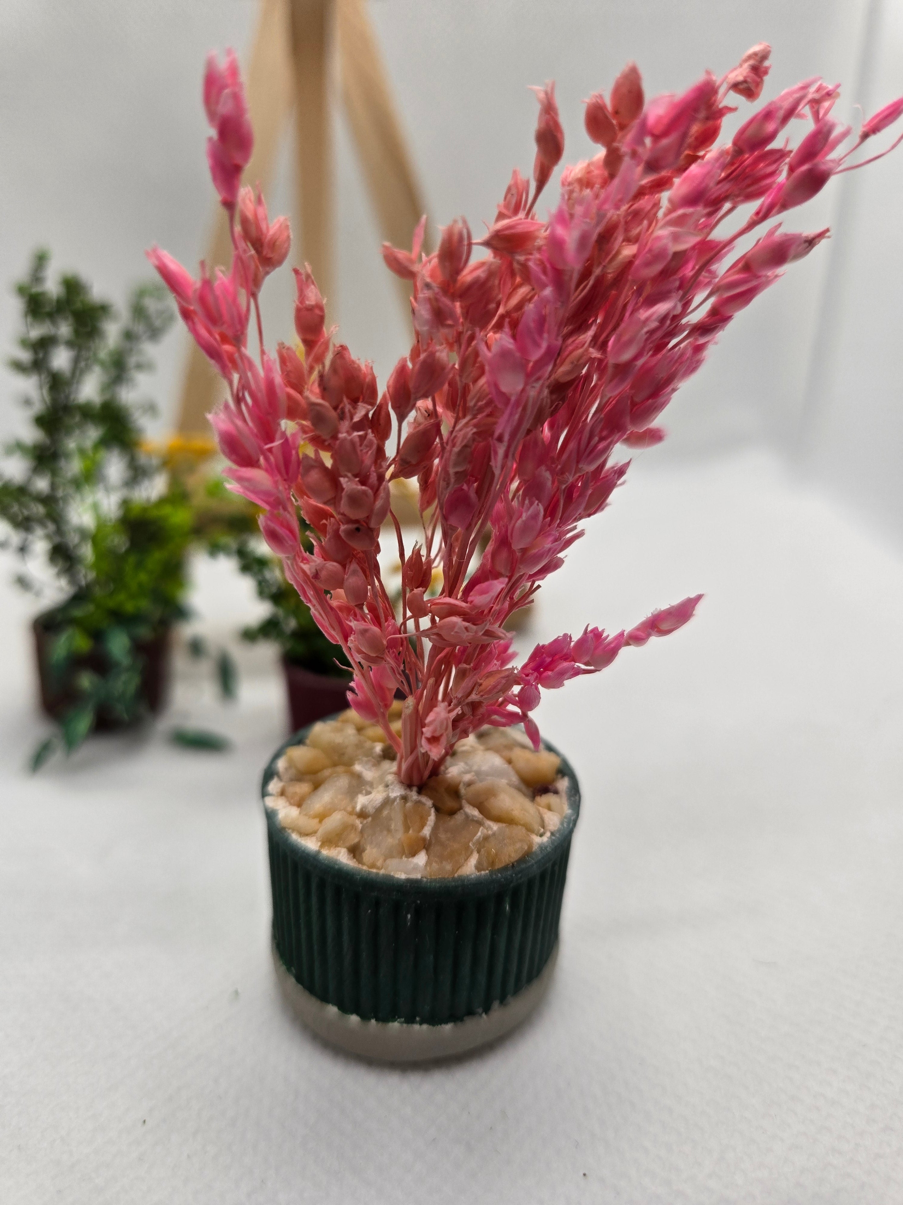 Miniature Pink Potted Houseplant
