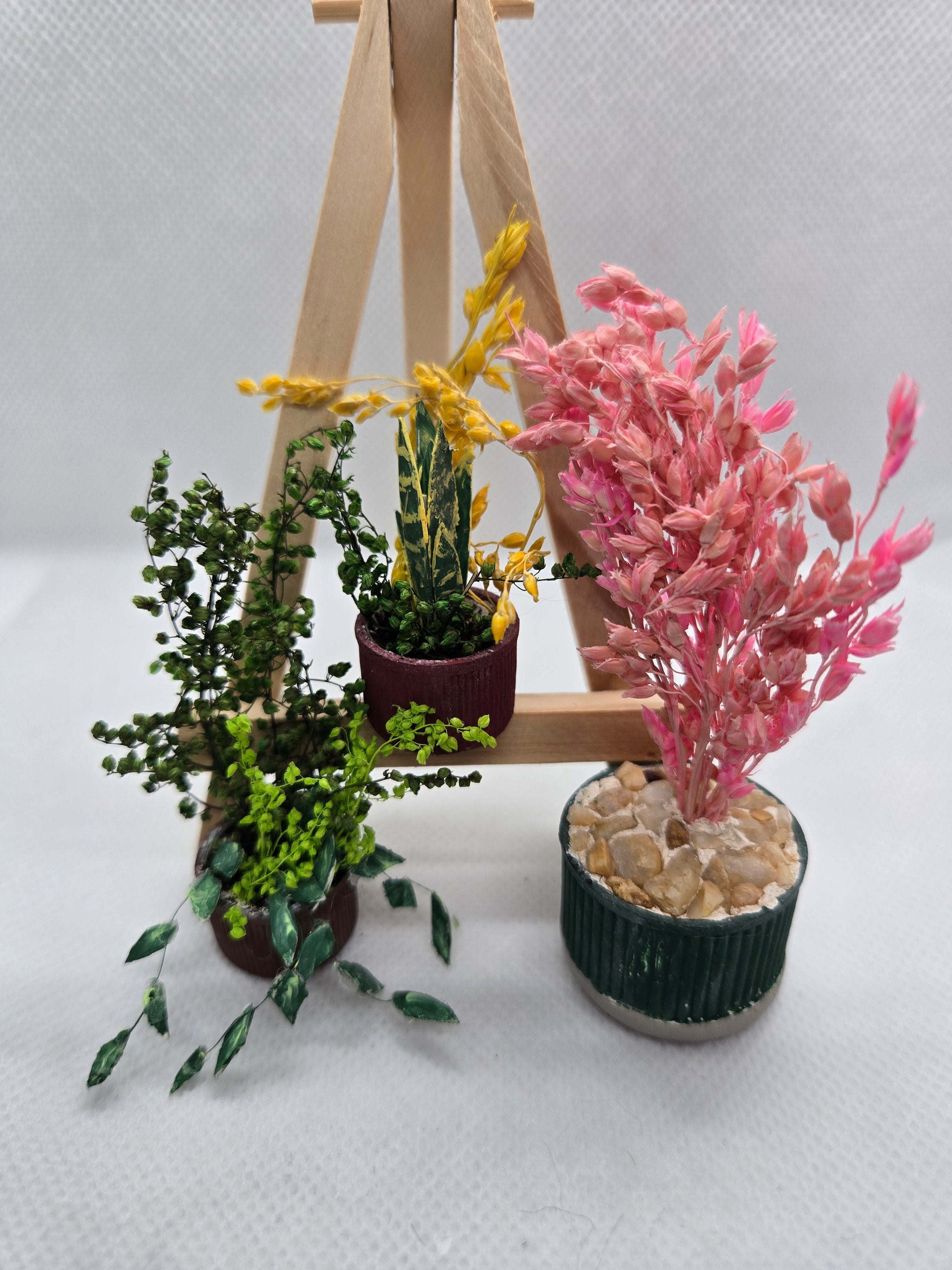 Miniature Pink Potted Houseplant