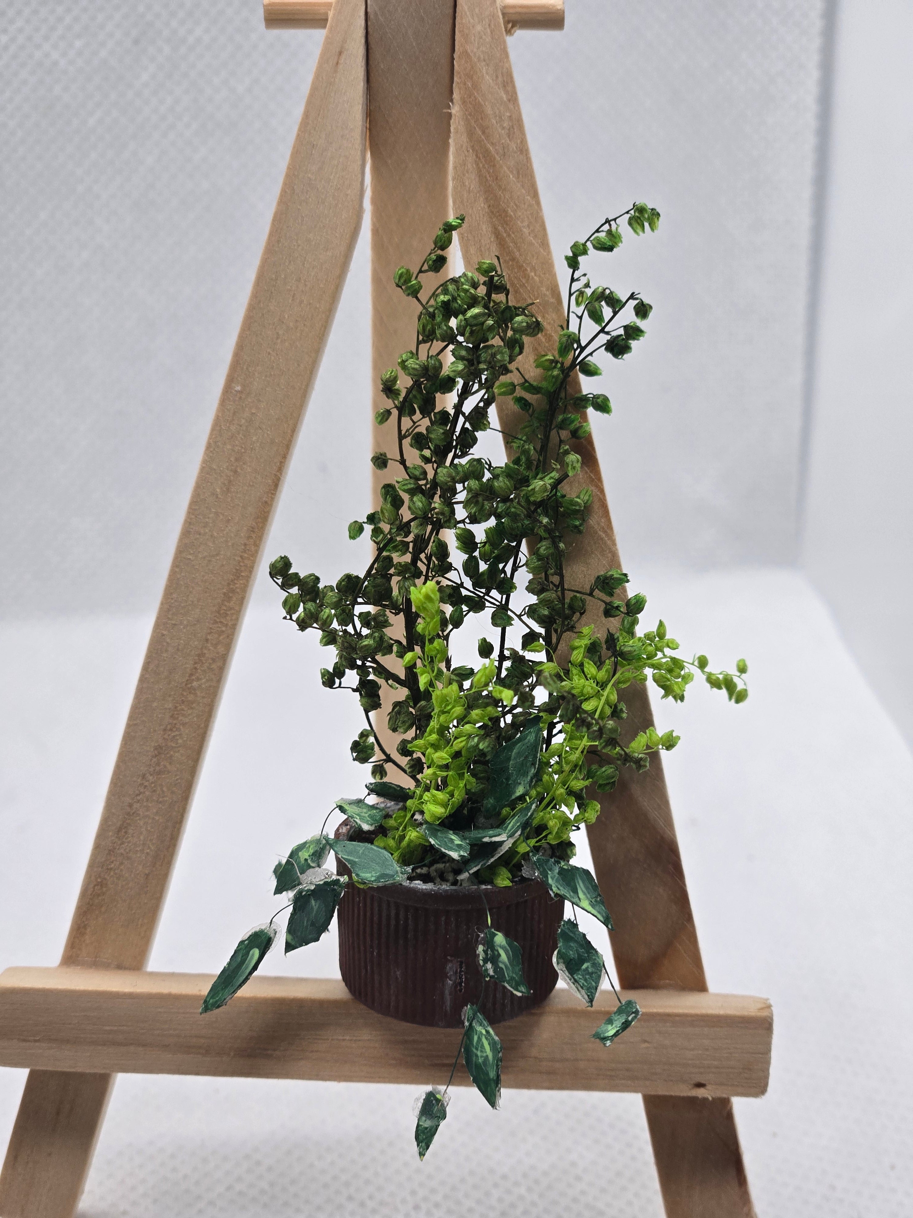 Miniature Pothos Potted Plant