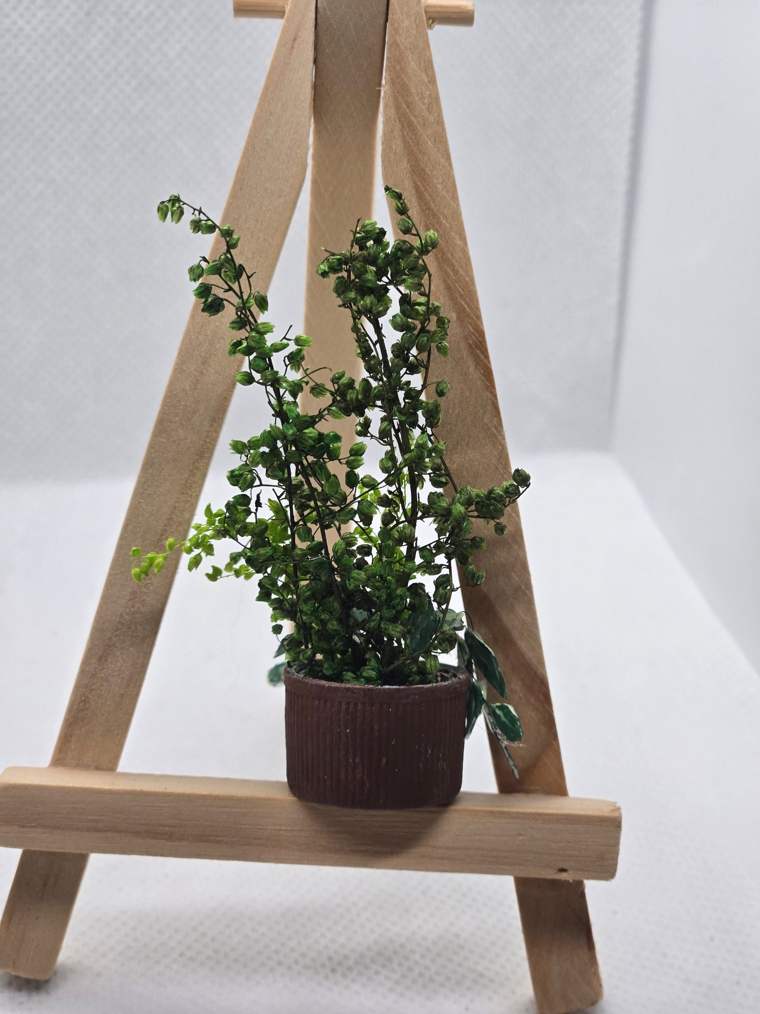 Miniature Pothos Potted Plant