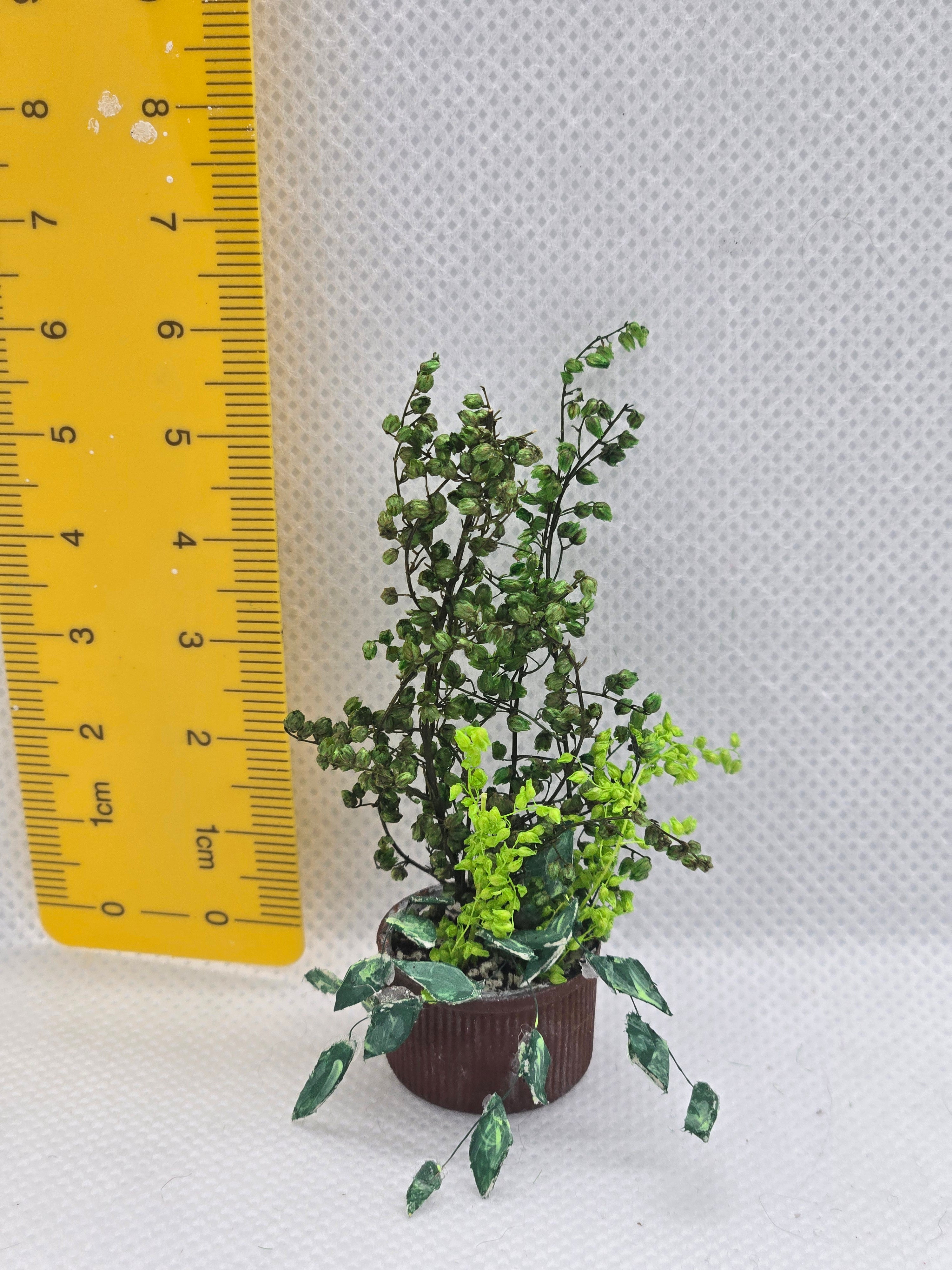 Miniature Pothos Potted Plant