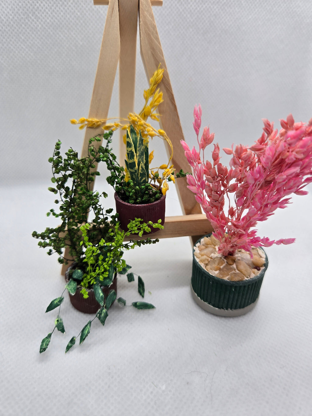 Miniature Pothos Potted Plant
