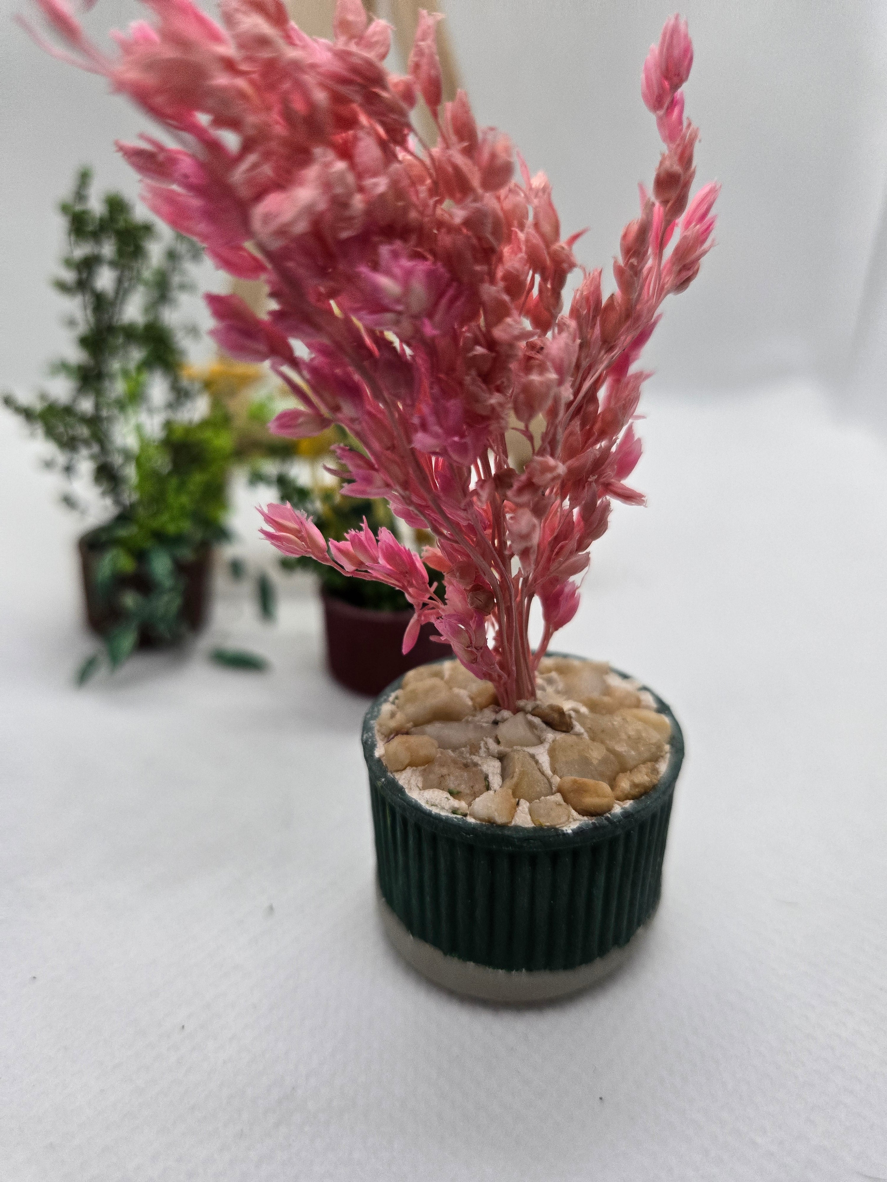 Miniature Pink Potted Houseplant